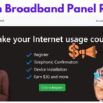 Nielsen Broadband Panel Review