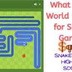 What is the World Record for Snake Game.
