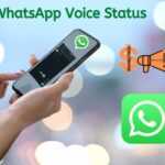 whatsapp voice status